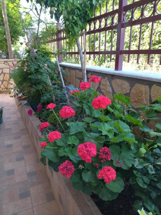 B&B One Воніца Екстер'єр фото